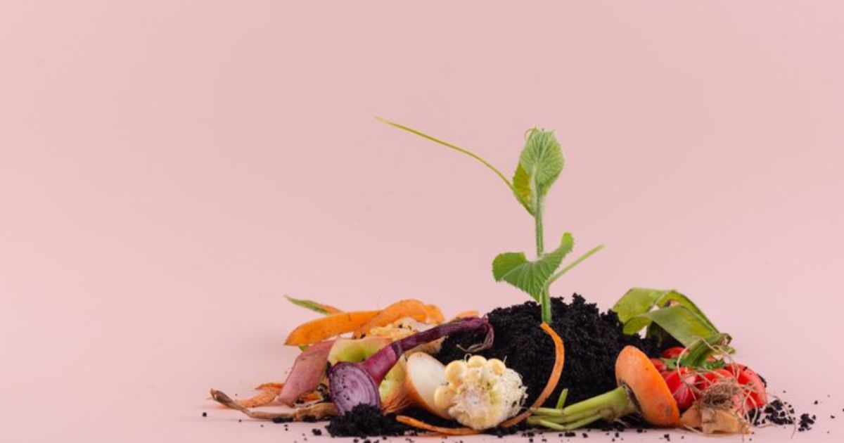 Restos de vegetais e um pouco de terra, com uma pequena planta verde brotando, destacando a importância da compostagem.