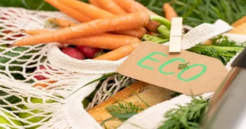 Desperdício Zero: 18 Ideias para uma Vida Mais Sustentável