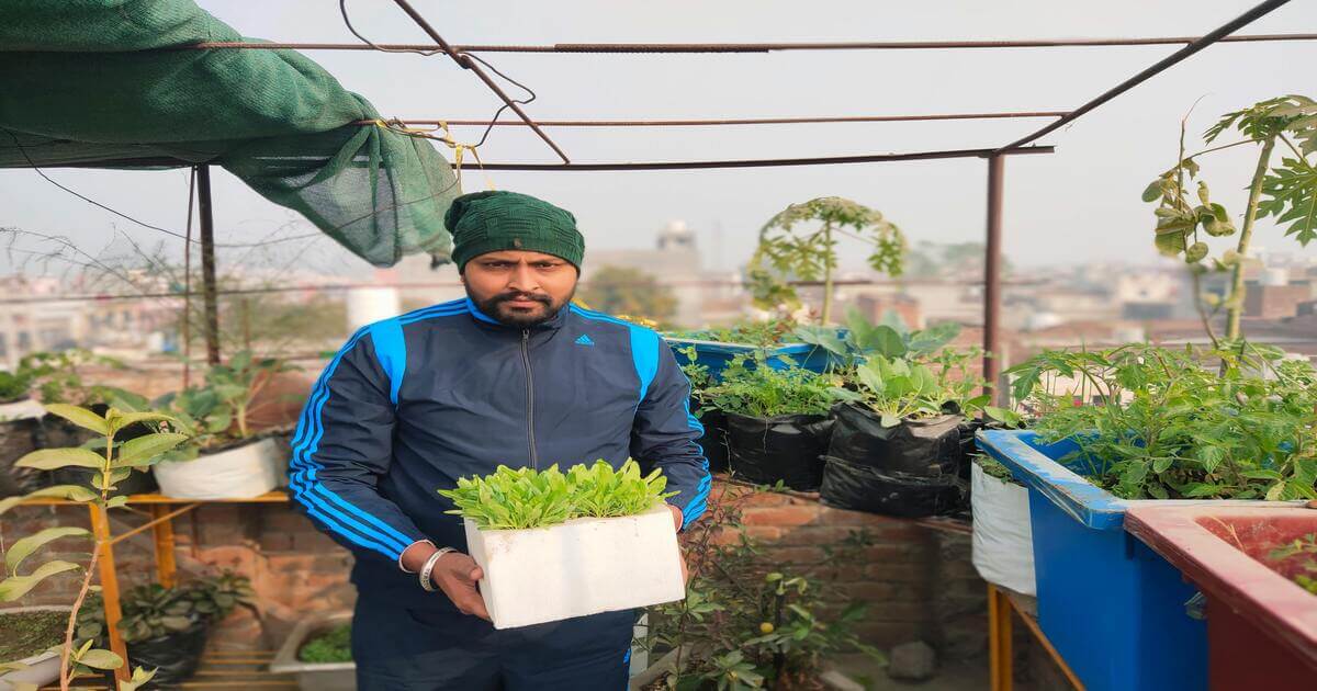 Homem segurando uma caixa com vegetais em uma horta orgânica no apartamento, cercado por plantas em recipientes reutilizados.