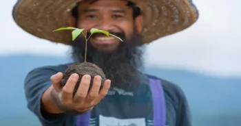 Agrofloresta: O Futuro da Agricultura Sustentável