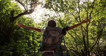 Banho de Floresta: O Abraço da Natureza Que Alivia o Estresse
